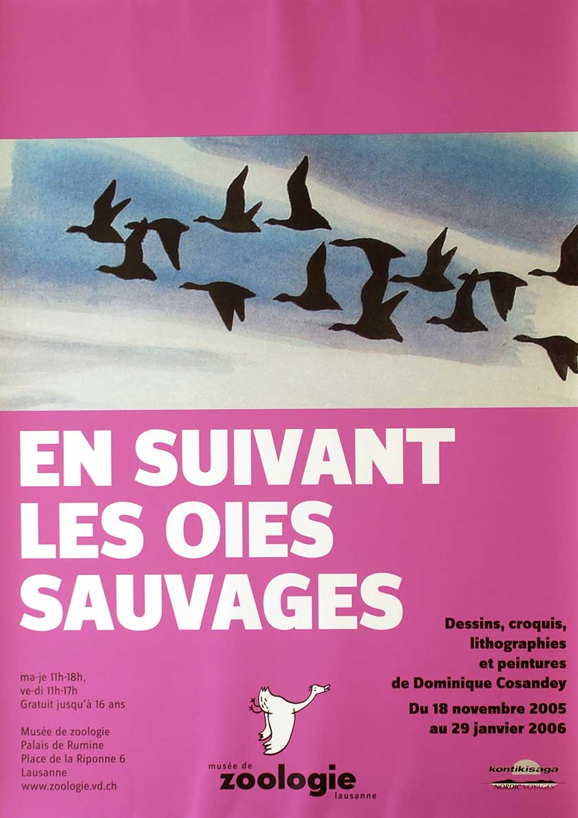 En suivant les oies sauvages