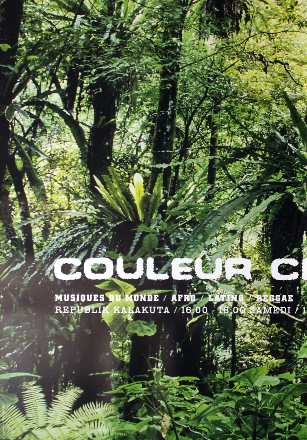 Couleur Chaude (B12) – by Atelier Poisson – 2003 – World – Silkscreen – Green [#1101]
