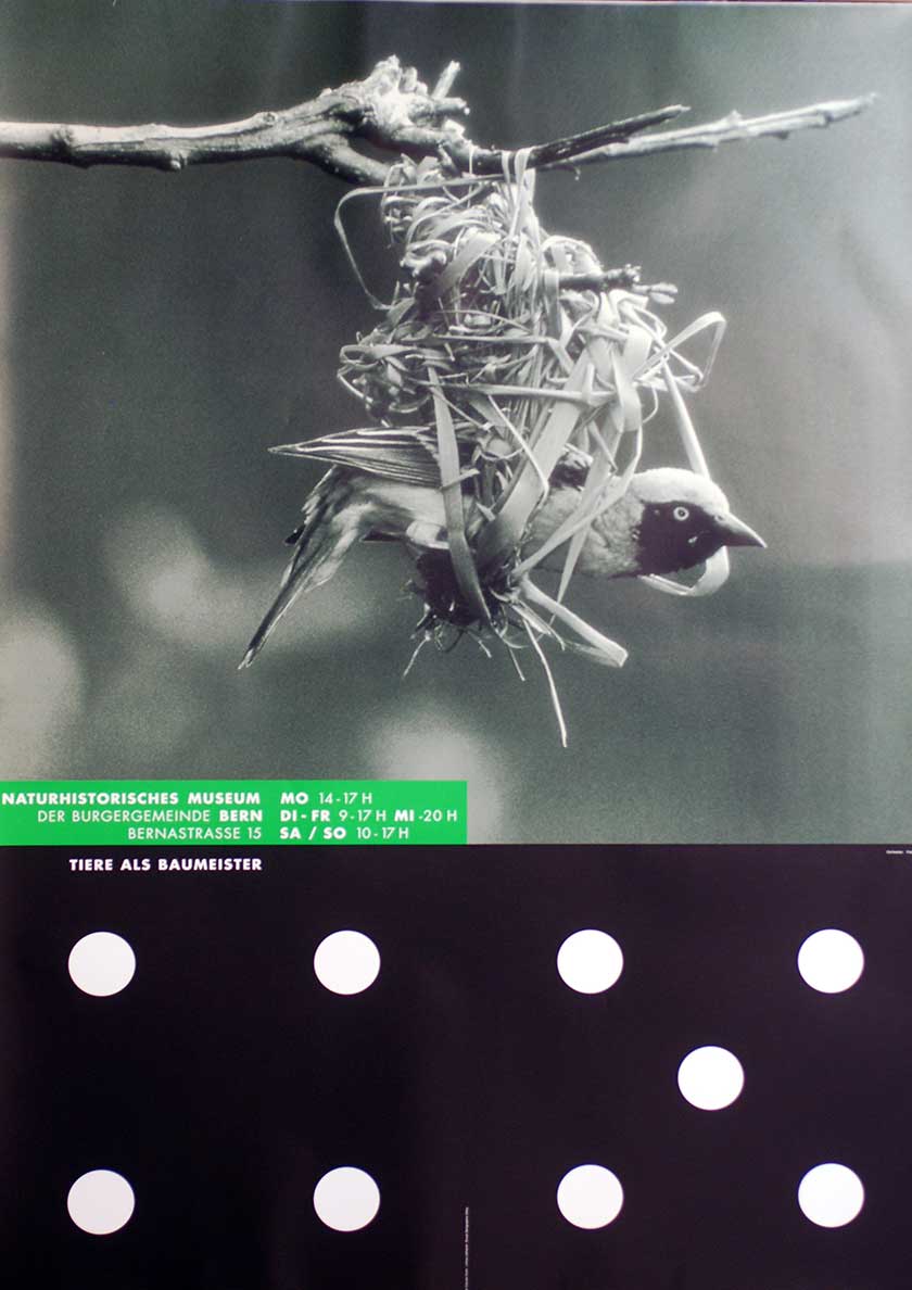 Claude Kuhn, Tiere als Baumeister