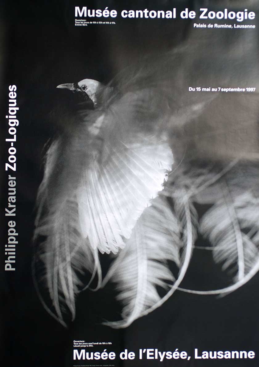 Philippe Krauer, Zoo-Logiques