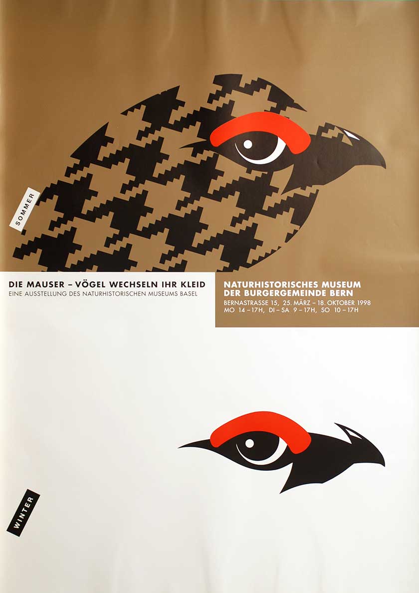 Claude Kuhn, Die Mauser – Vögel wechseln ihr Kleid