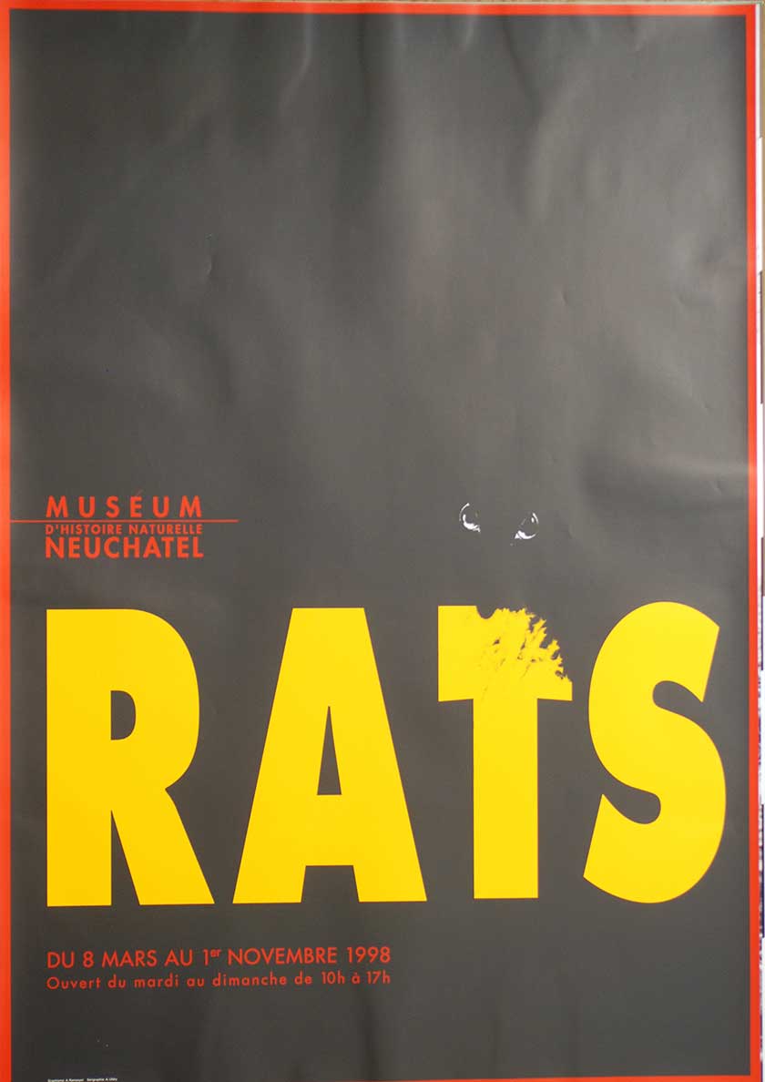 Rats
