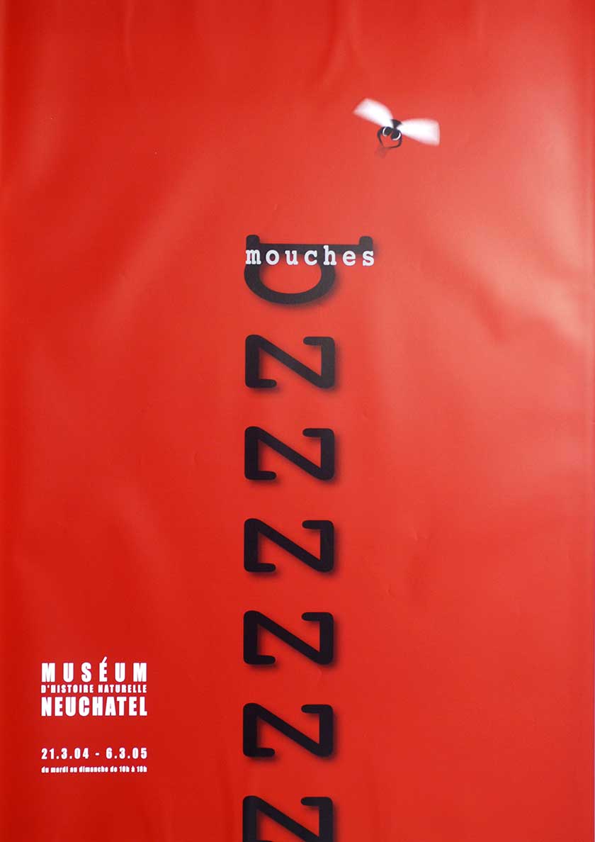 Mouches bzzzzzz