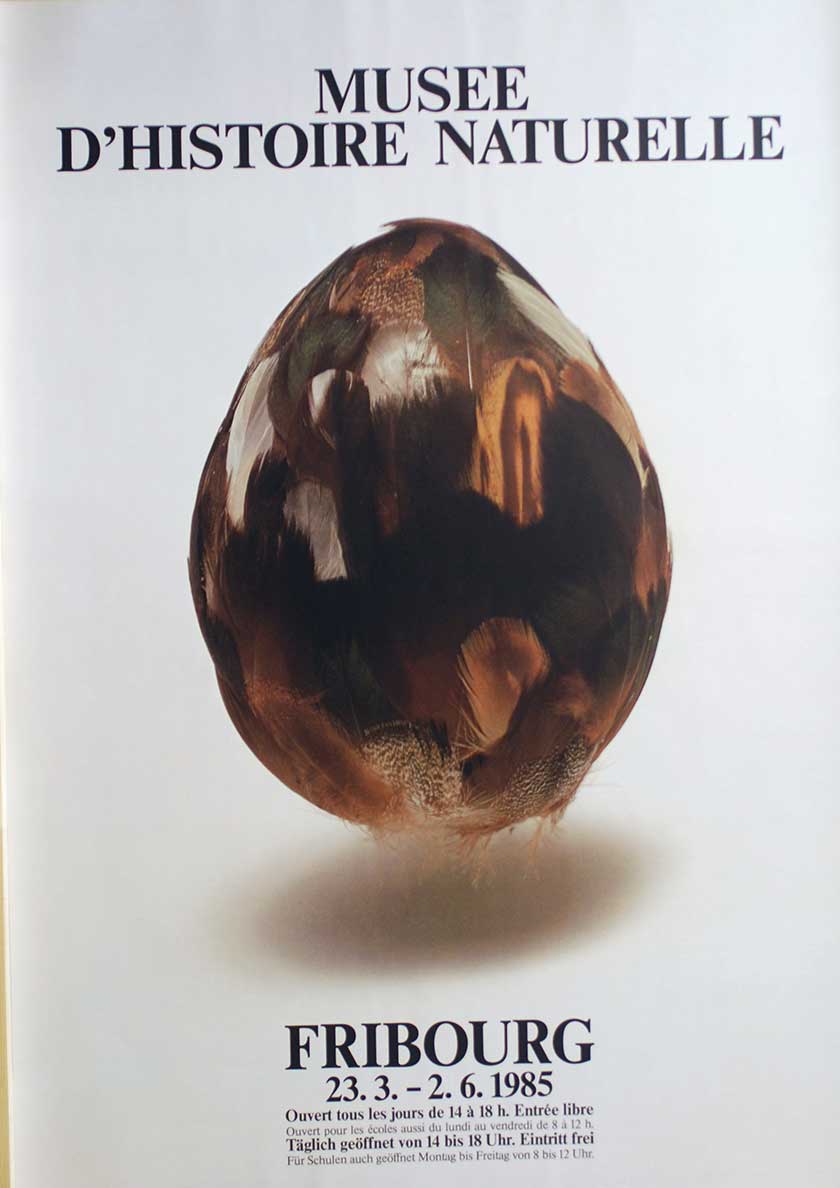 Musée d'histoire naturelle Fribourg
