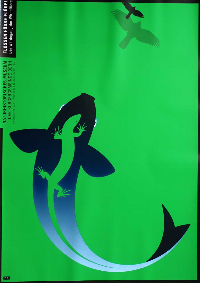 Claude Kuhn, Flossen Füsse Flügel, grün