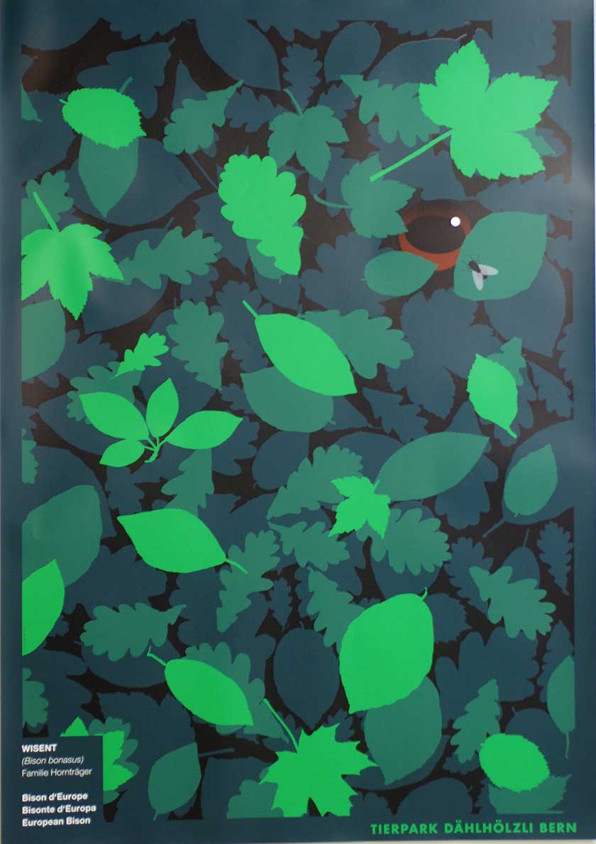 Claude Kuhn, Wisent