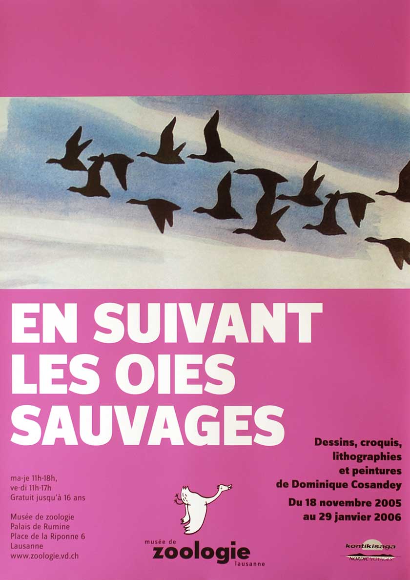 En suivant les oies sauvages