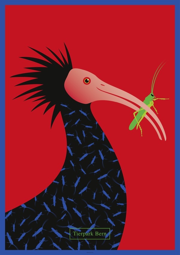 Waldrapp