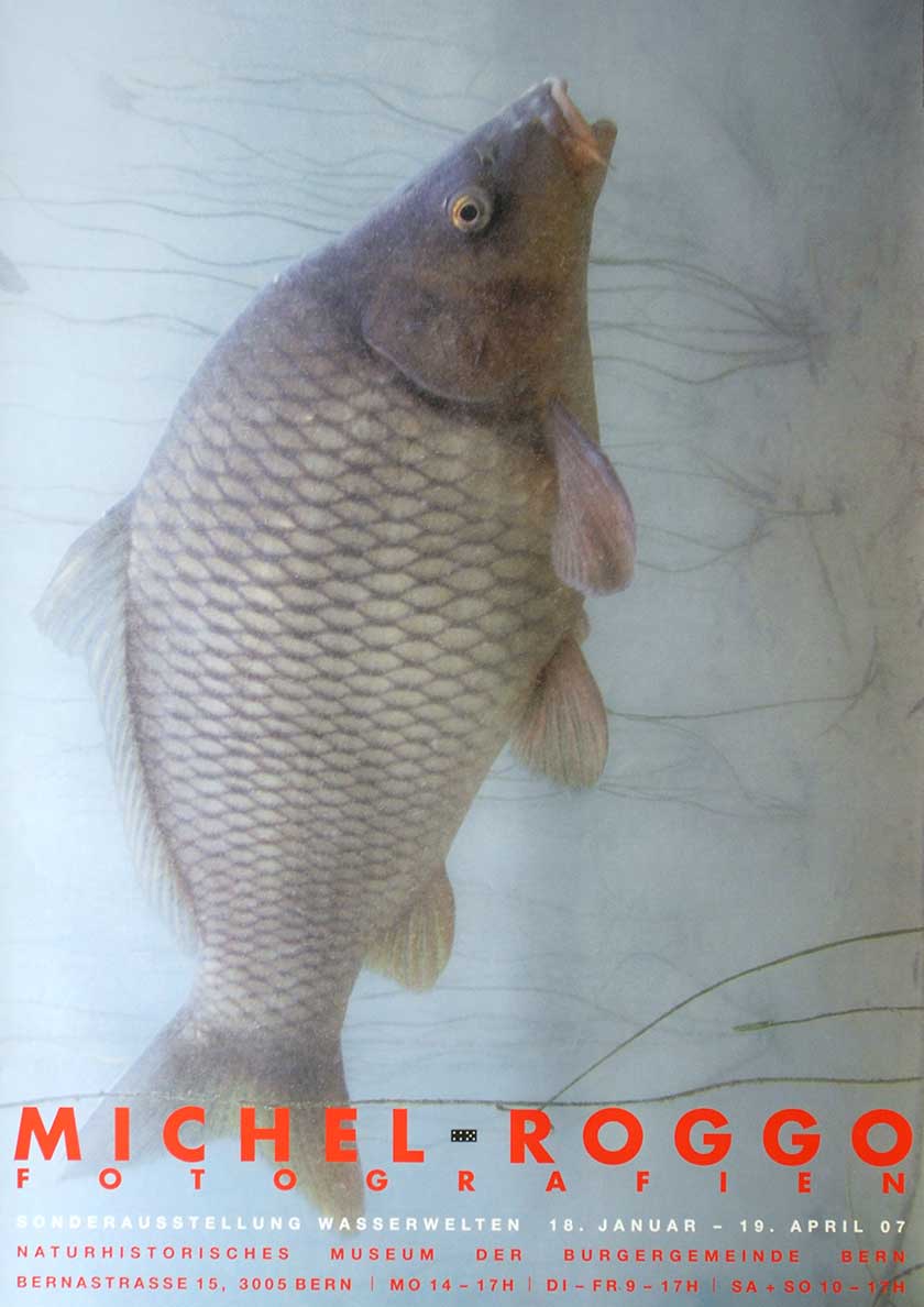 Michel Roggo, Wasserwelten