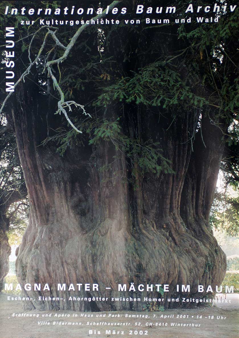 Magna Mater – Mächte im Baum