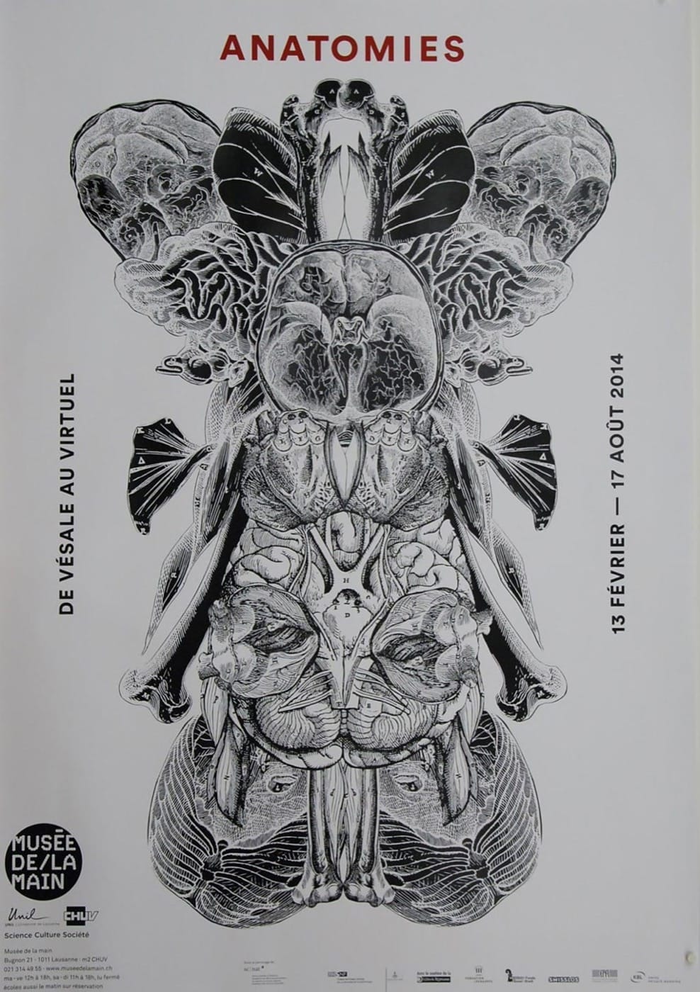 Anatomies
