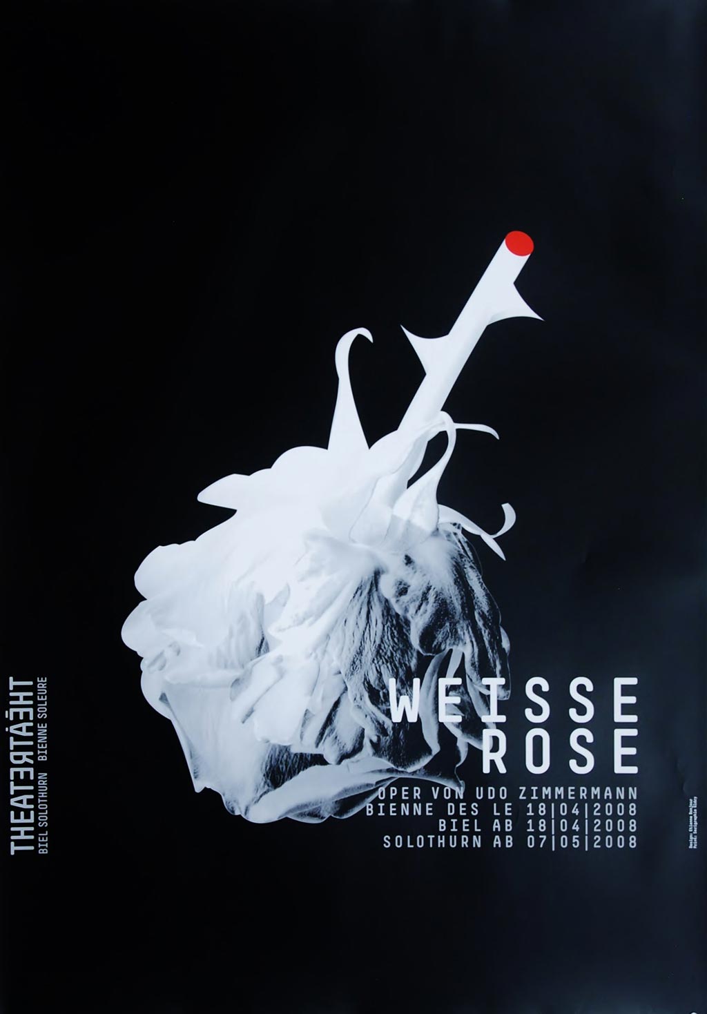 Weisse Rose