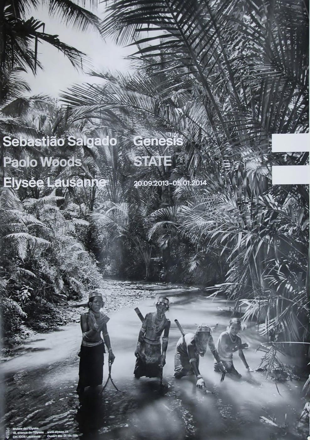 Sebastiao Salgado, Genesis state