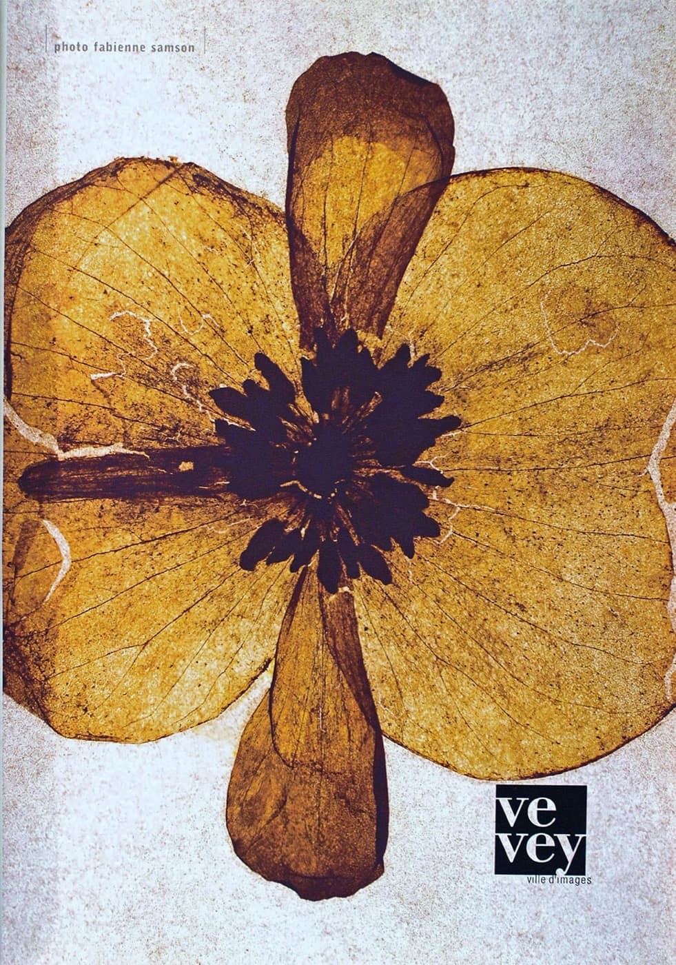 photo fabienne samson