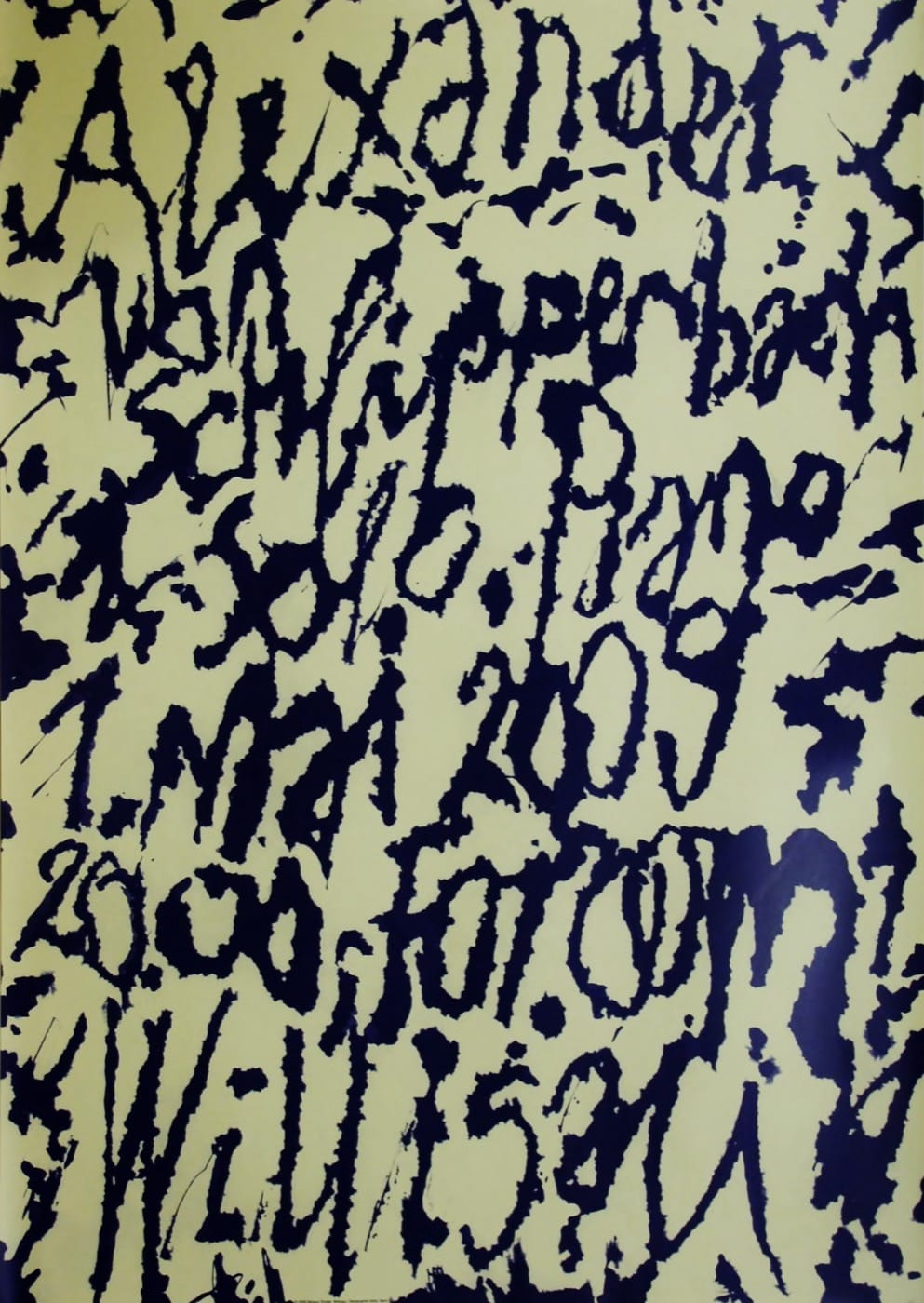 Niklaus Troxler Alexander 2009