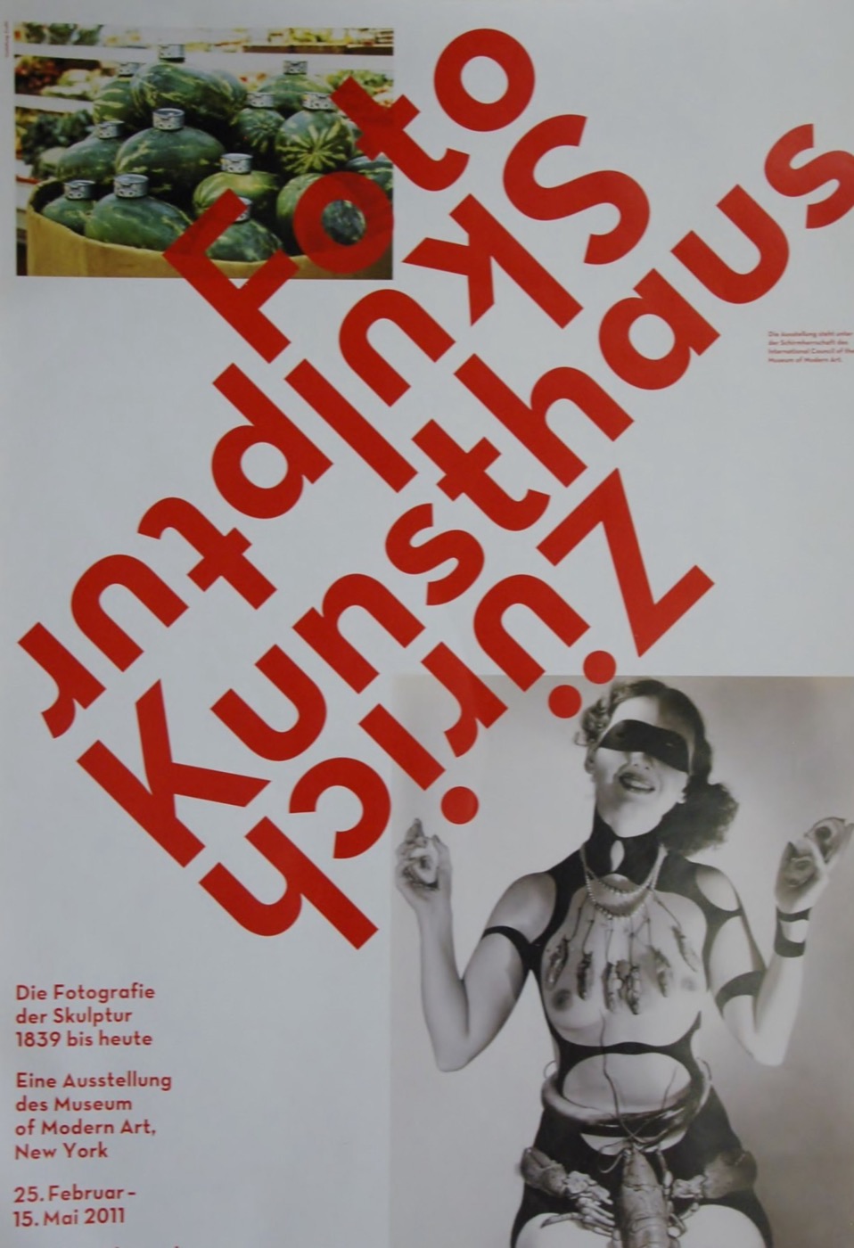 Foto Skulptur (Eine Ausstellung des Museum of Modern Art, New York)