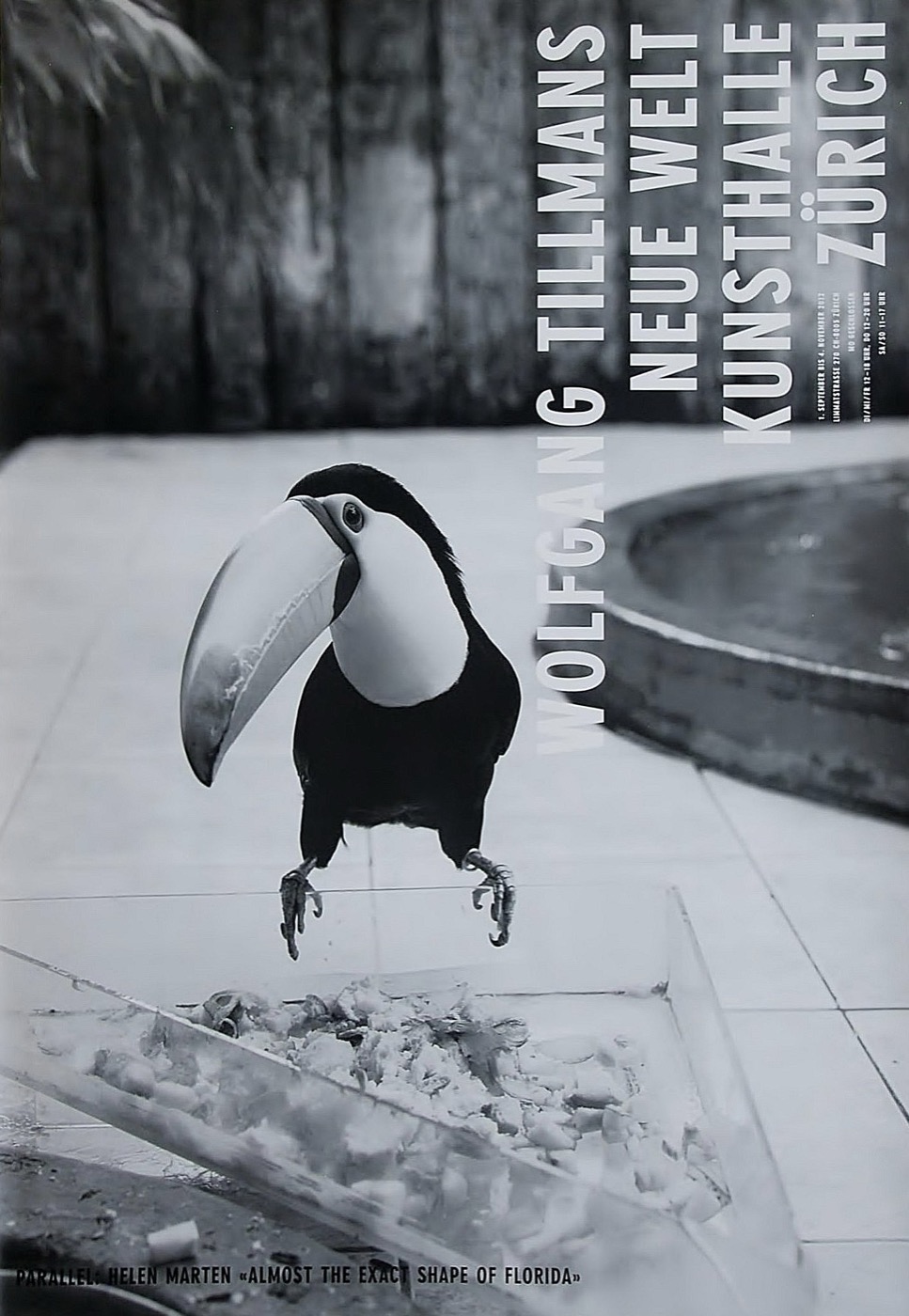 Wolfgang Tillmans Neue Welt