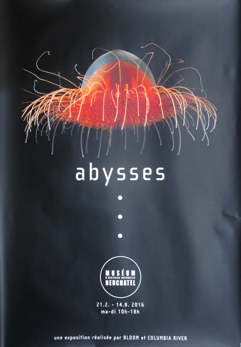abysses