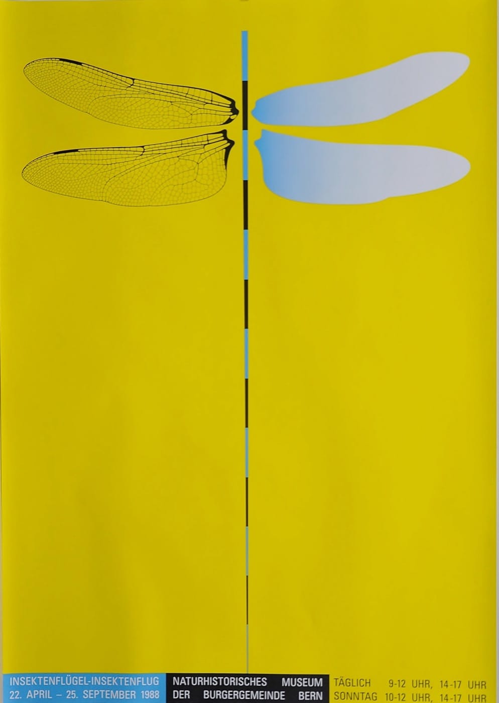 Insektenflügel - Insektenflug