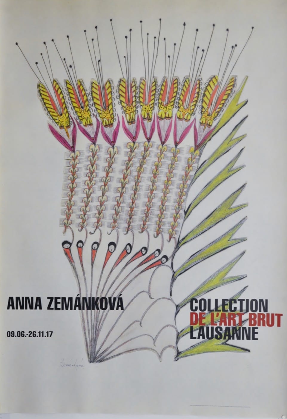Anna Zemankova