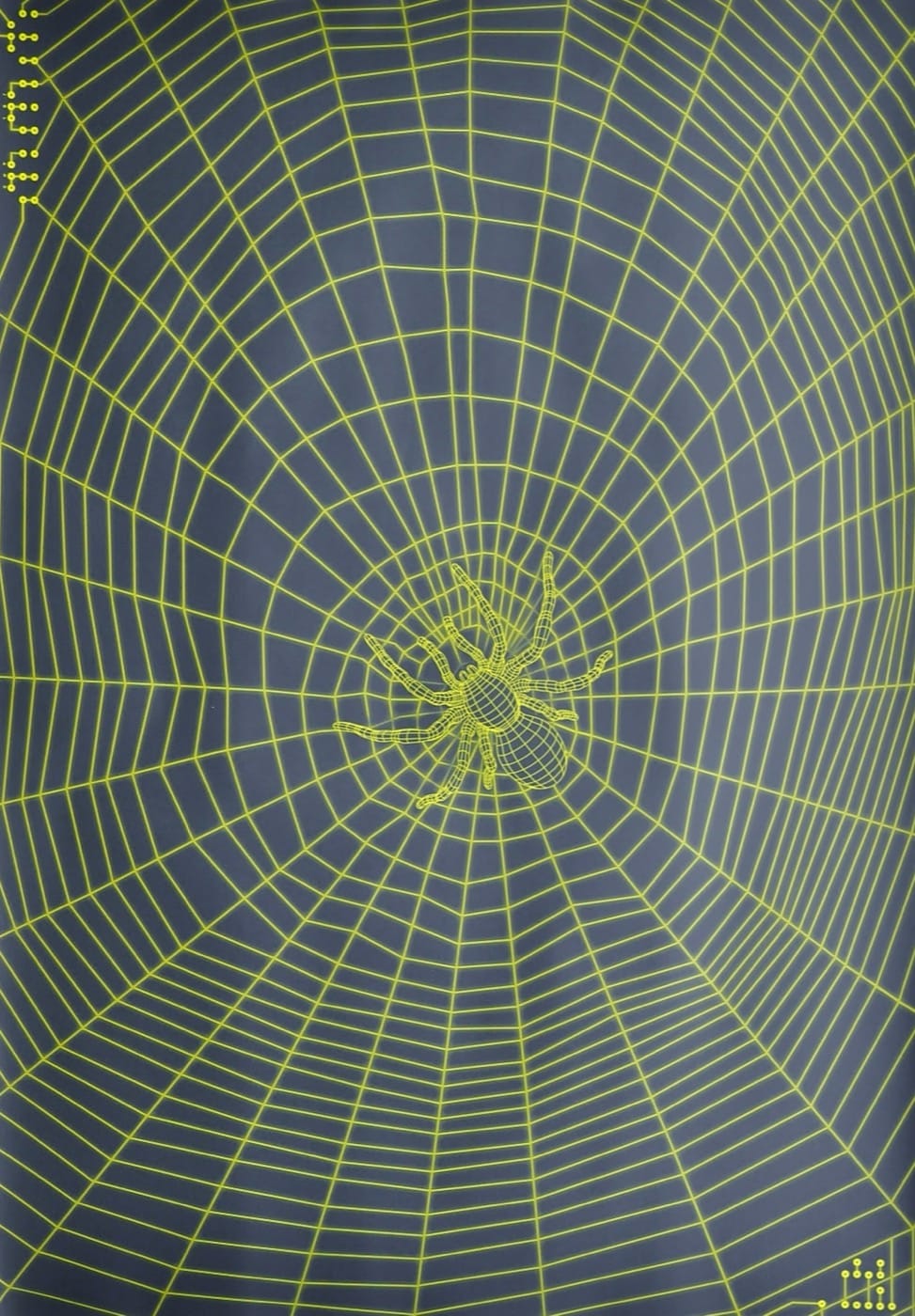 Spider