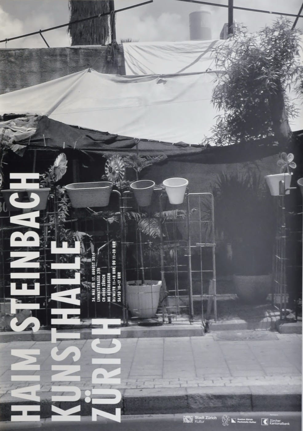 Haim Steinbach