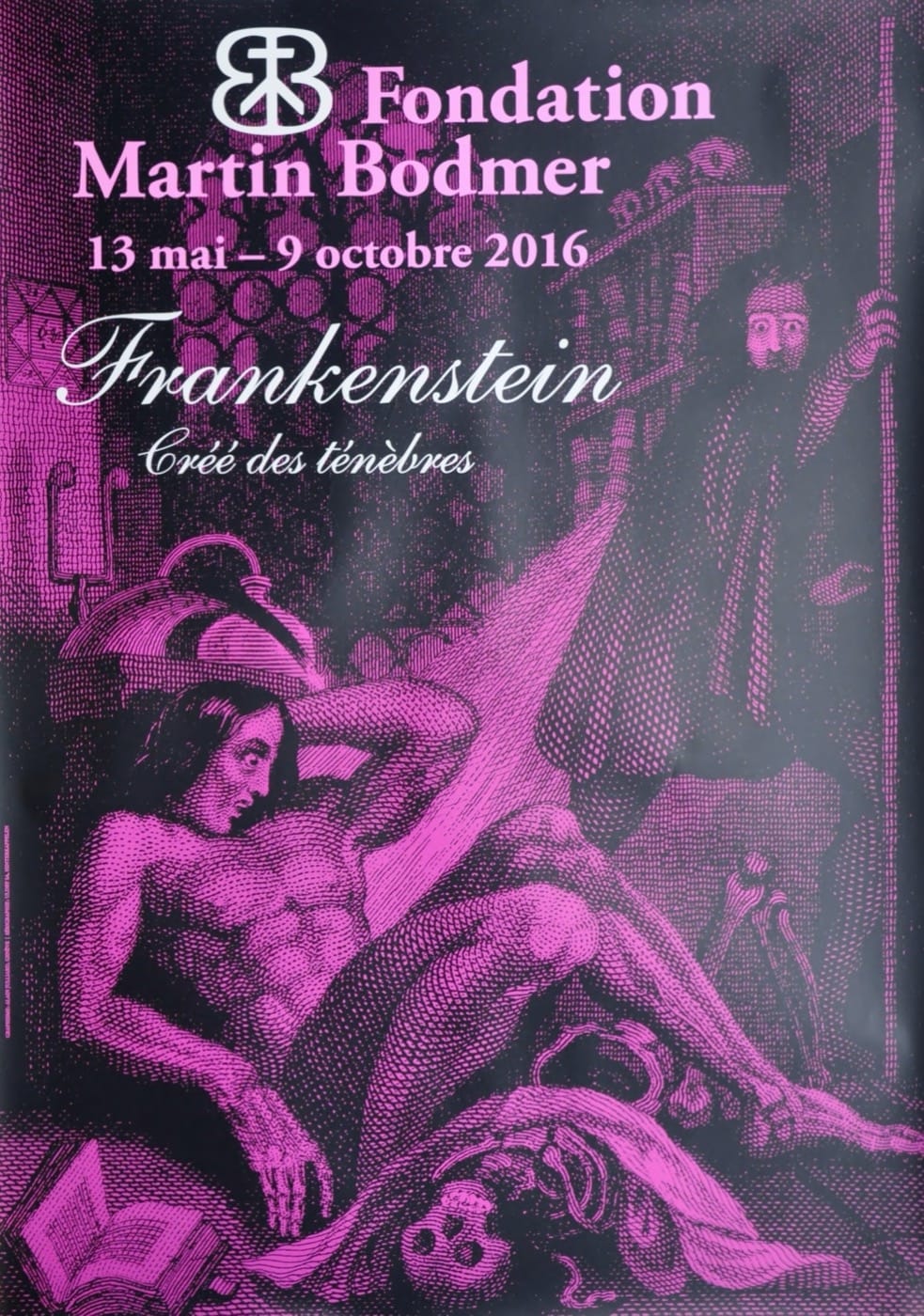 Frankenstein. Crée des ténebres