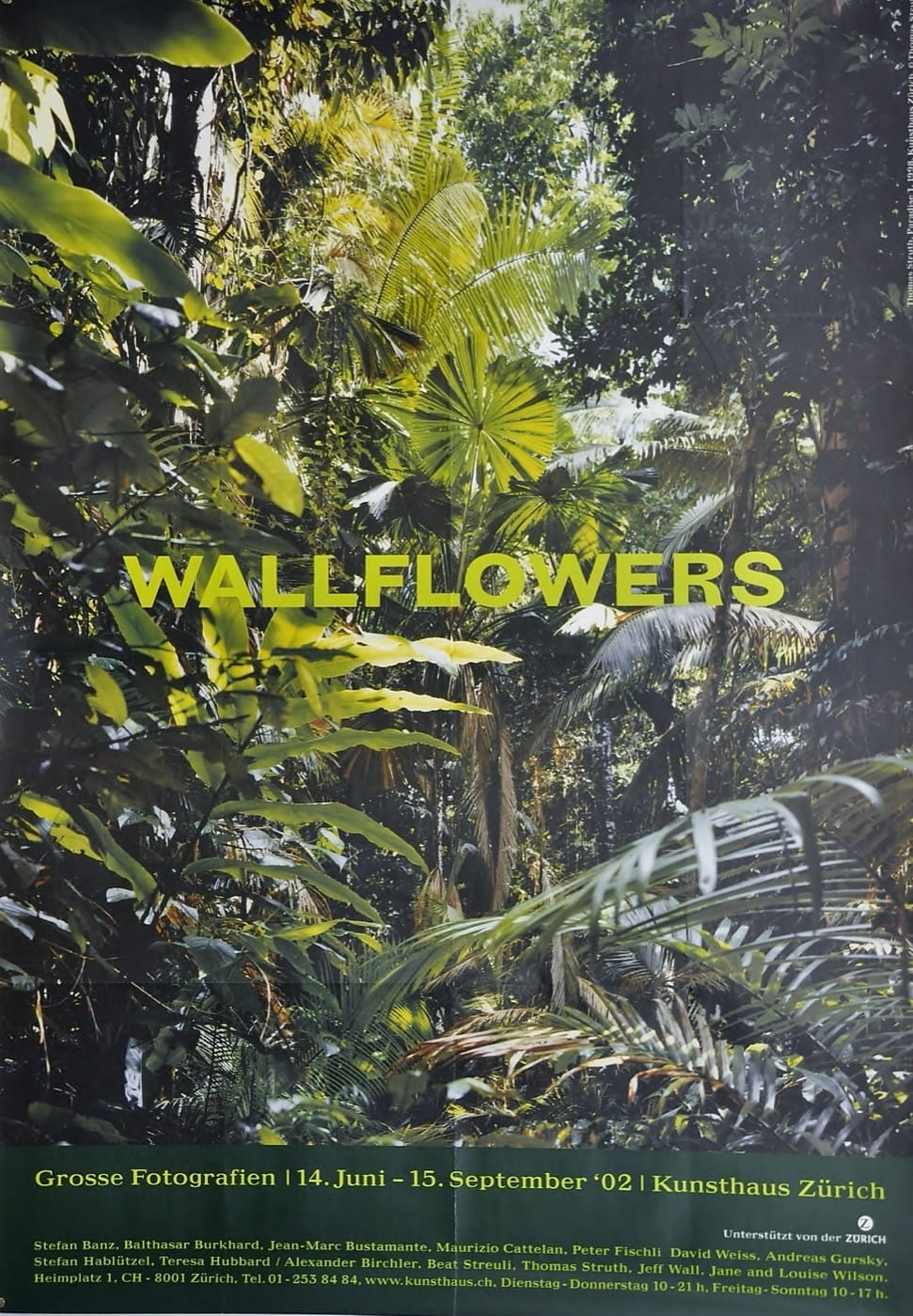 Wallflowers - Paradise