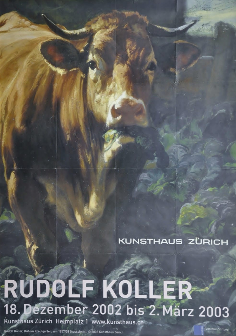 Rudolf Koller