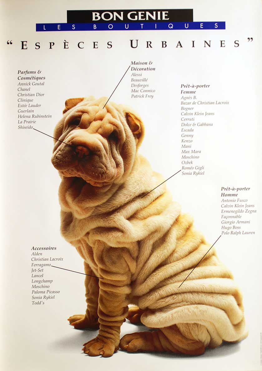 Espèces urbaines (Hund)