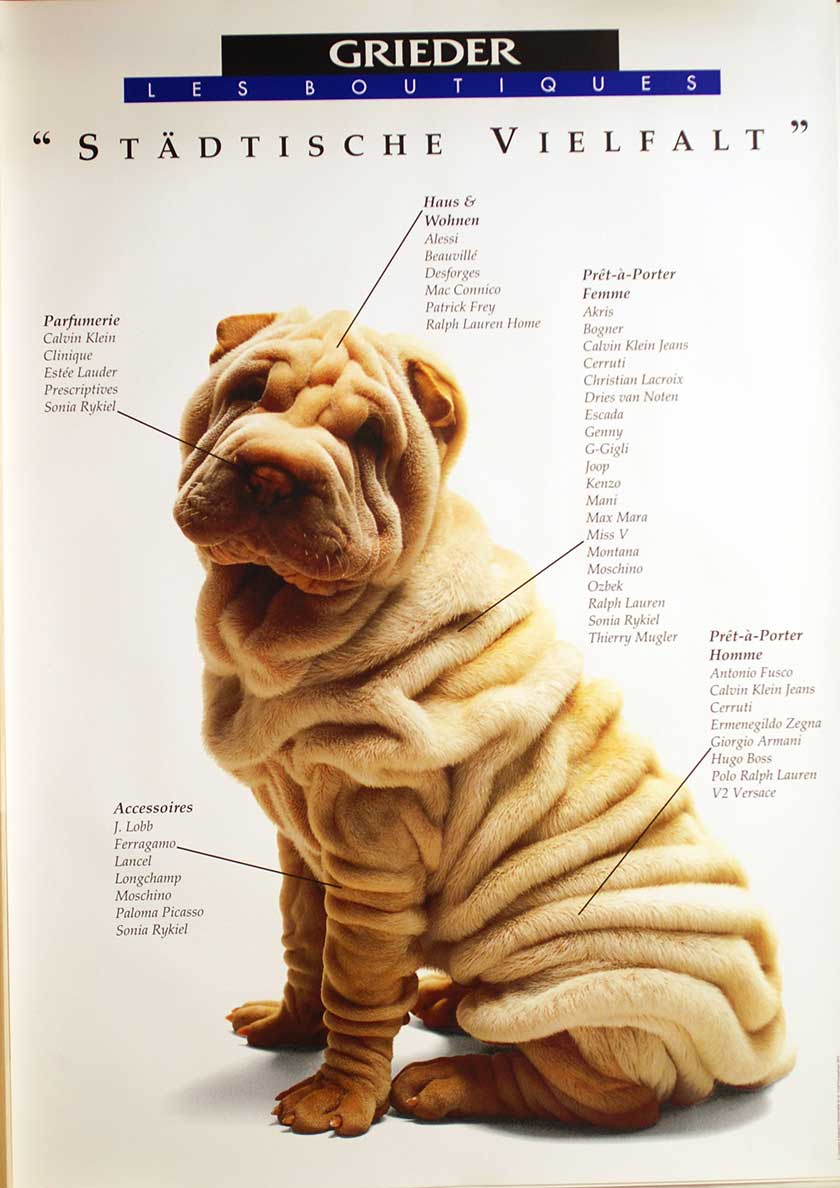 Städtische Vielfalt (Hund)