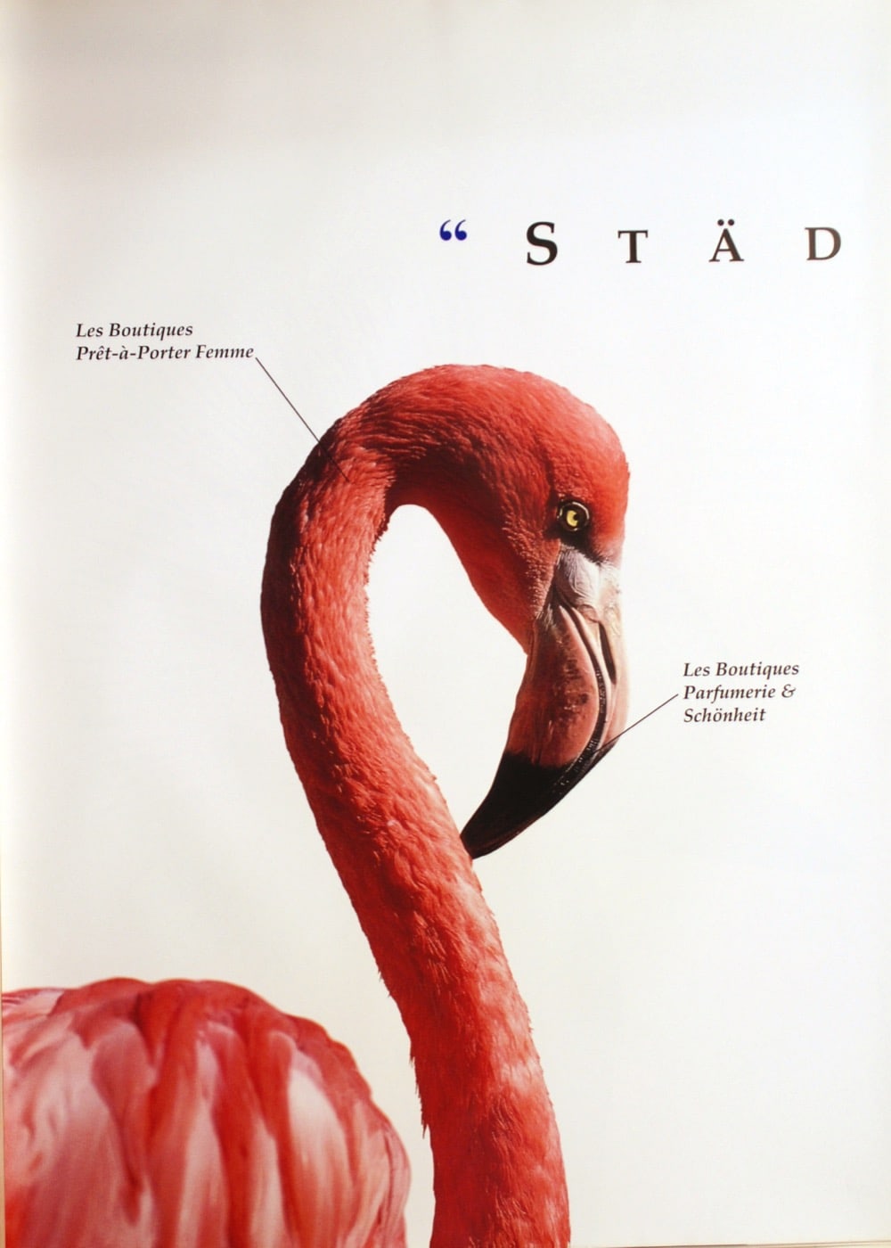 Städtische Vielfalt (Pelikan, Schildkröte, Zebra) (B12) – by Transpere Sa – 1994 – World – Silkscreen – Greytones, Red [#683]