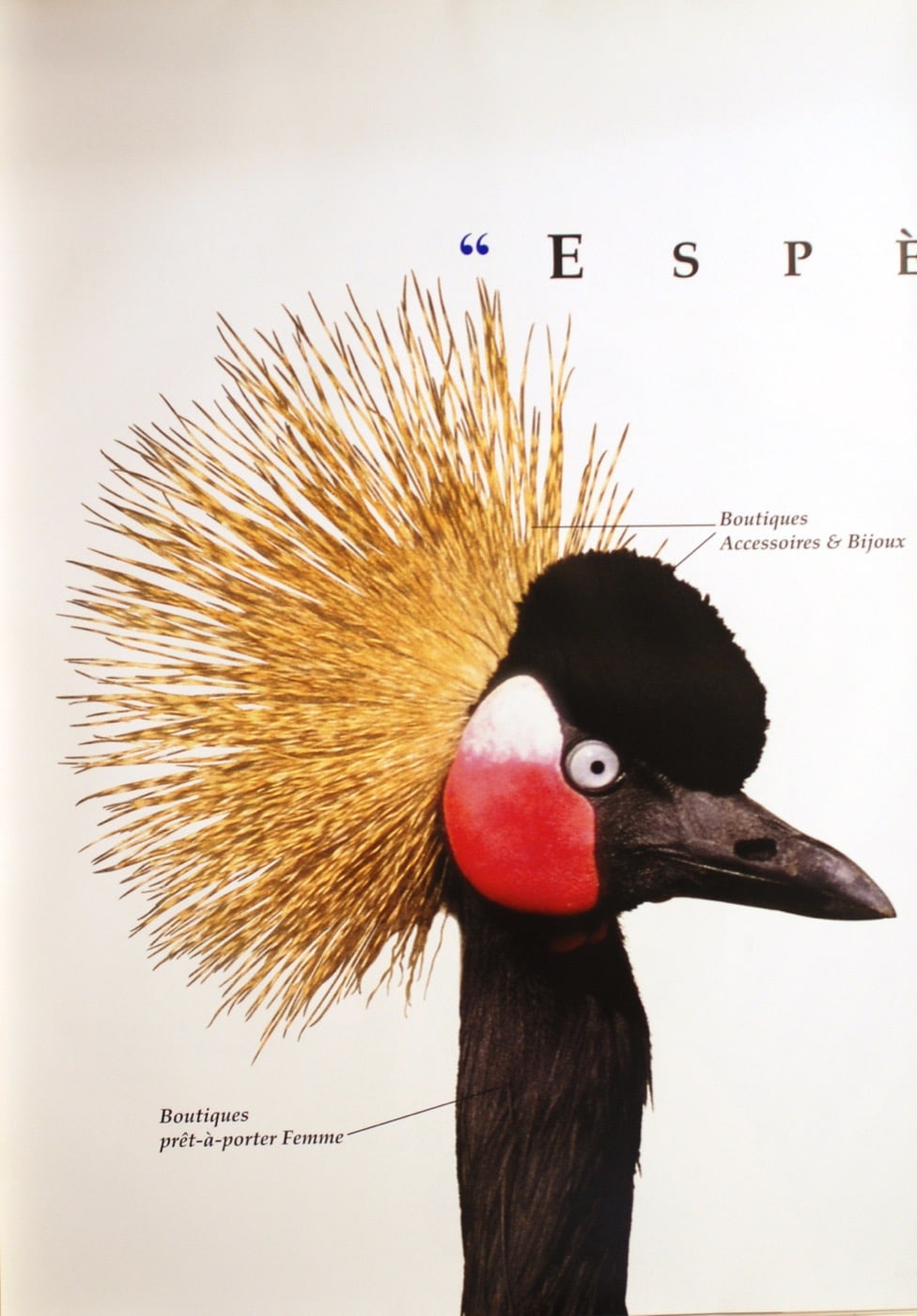 Espèces urbaines (Vogel, Pavian, Pinguin) (B12) – by Transpere Sa – 1994 – World – Silkscreen – Greytones, Brown [#684]