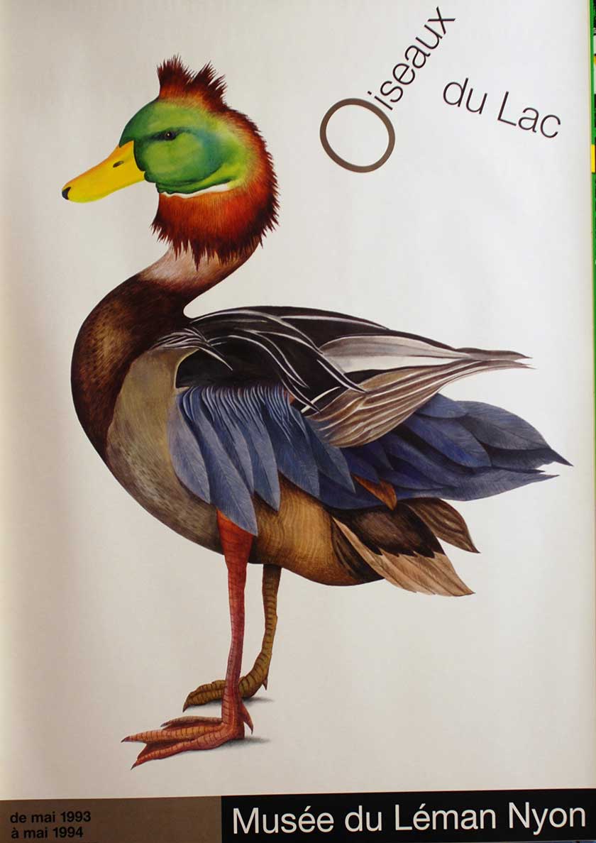 Oiseaux du Lac