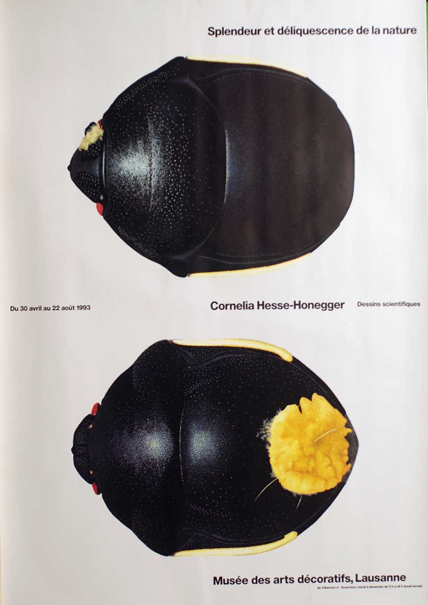 Splendeur et déliquescence de la nature