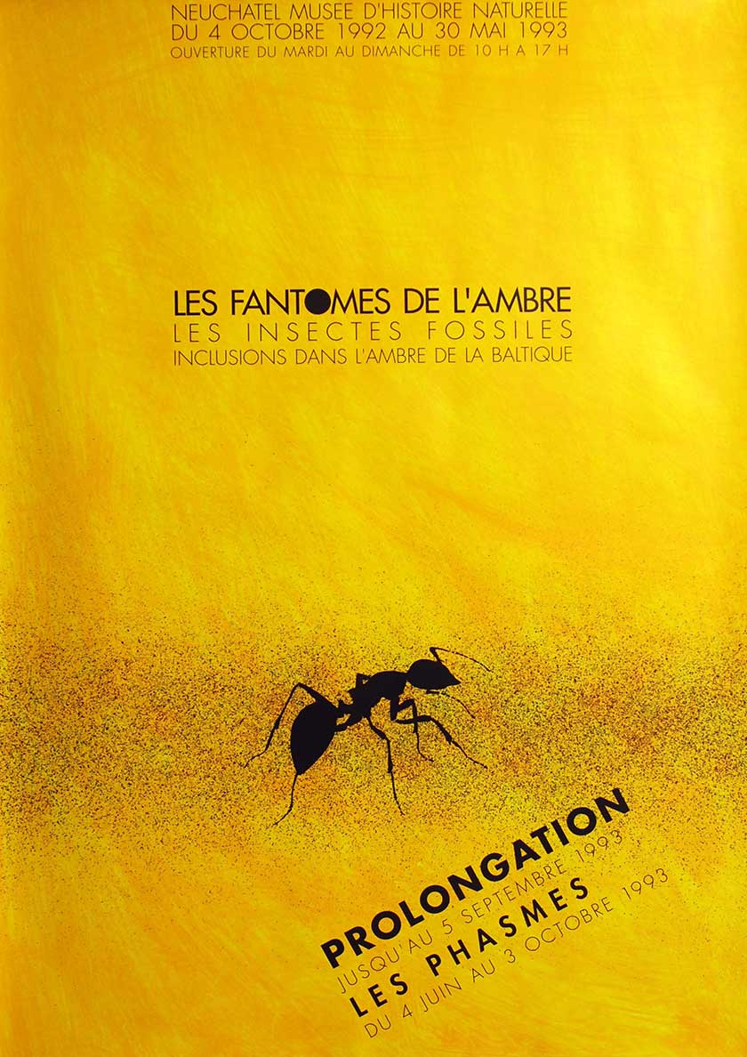 Les fantomes de l'ambre