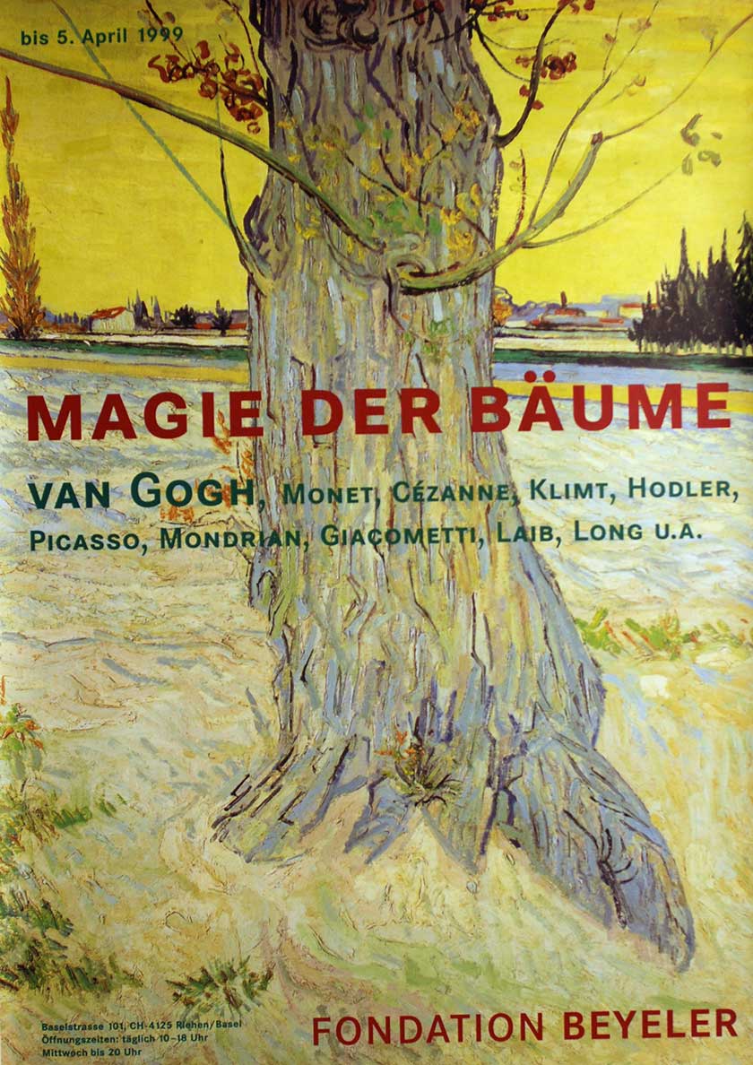 Magie der Bäume