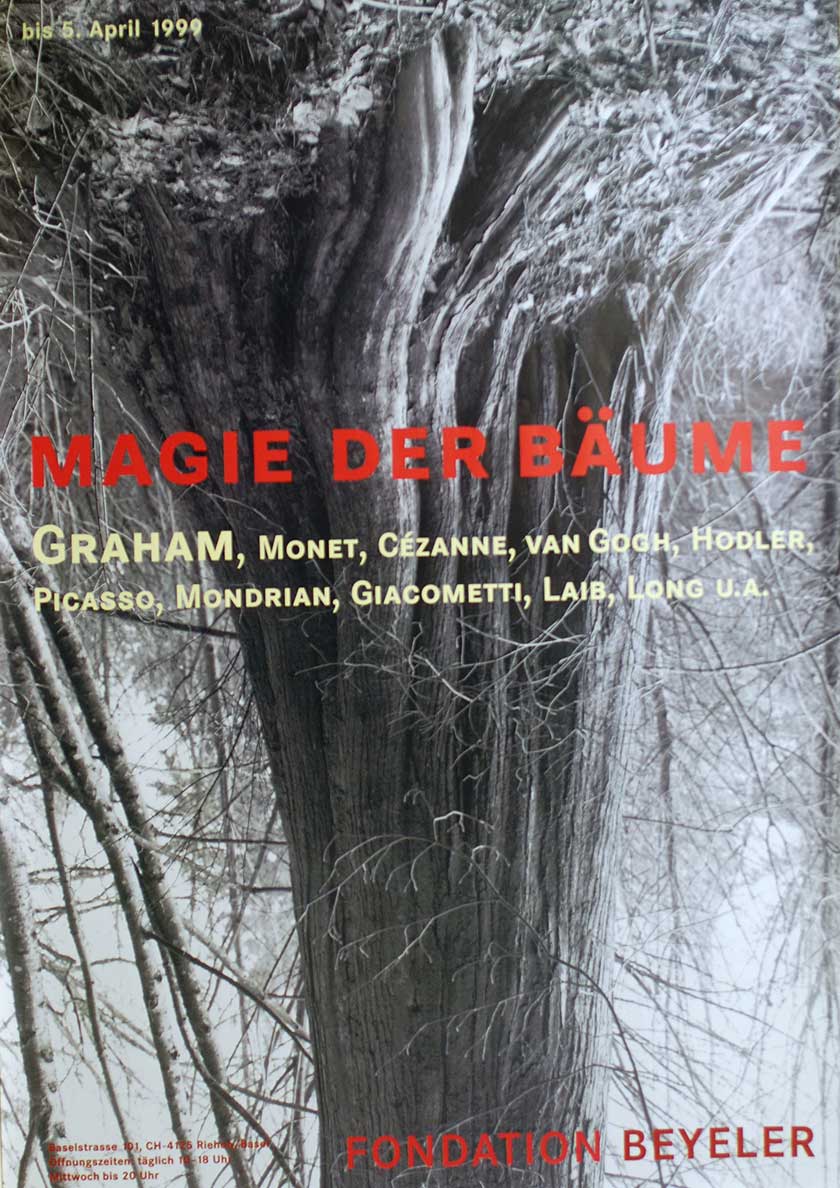 Magie der Bäume