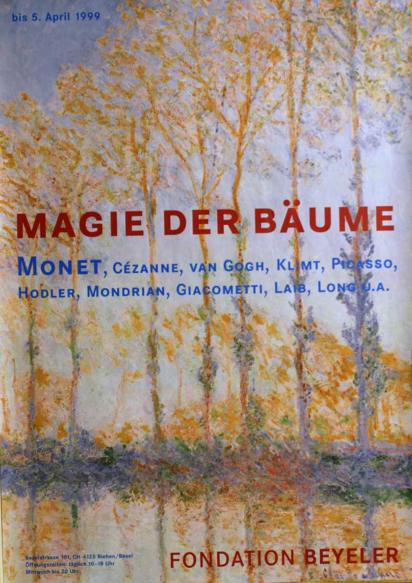 Magie der Bäume