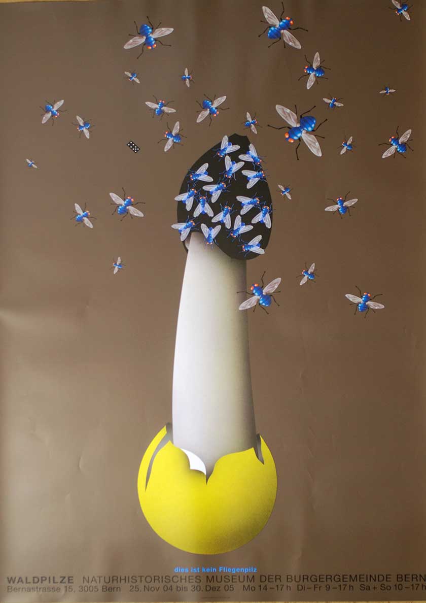 Claude Kuhn, Waldpilze