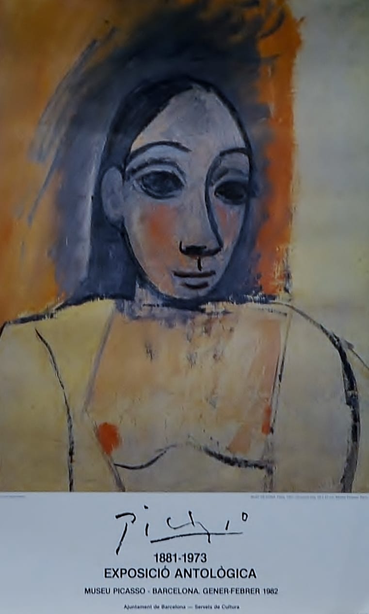 Picasso - Banyista Asseguda
