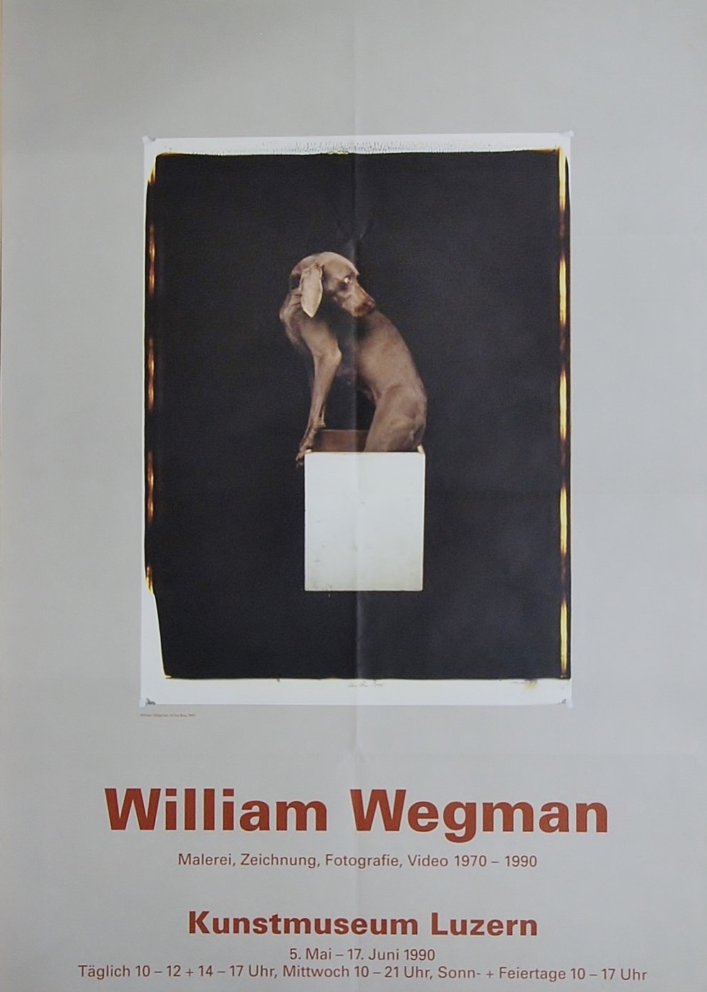 Wlliam Wegmann - In the Box