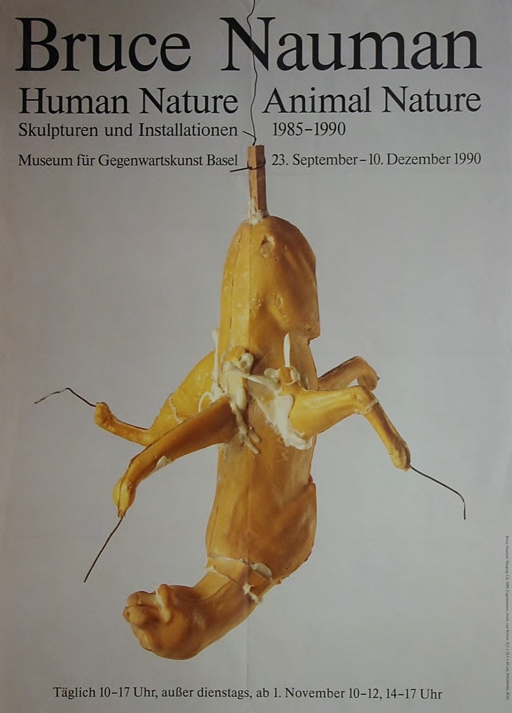 Bruce Naumann