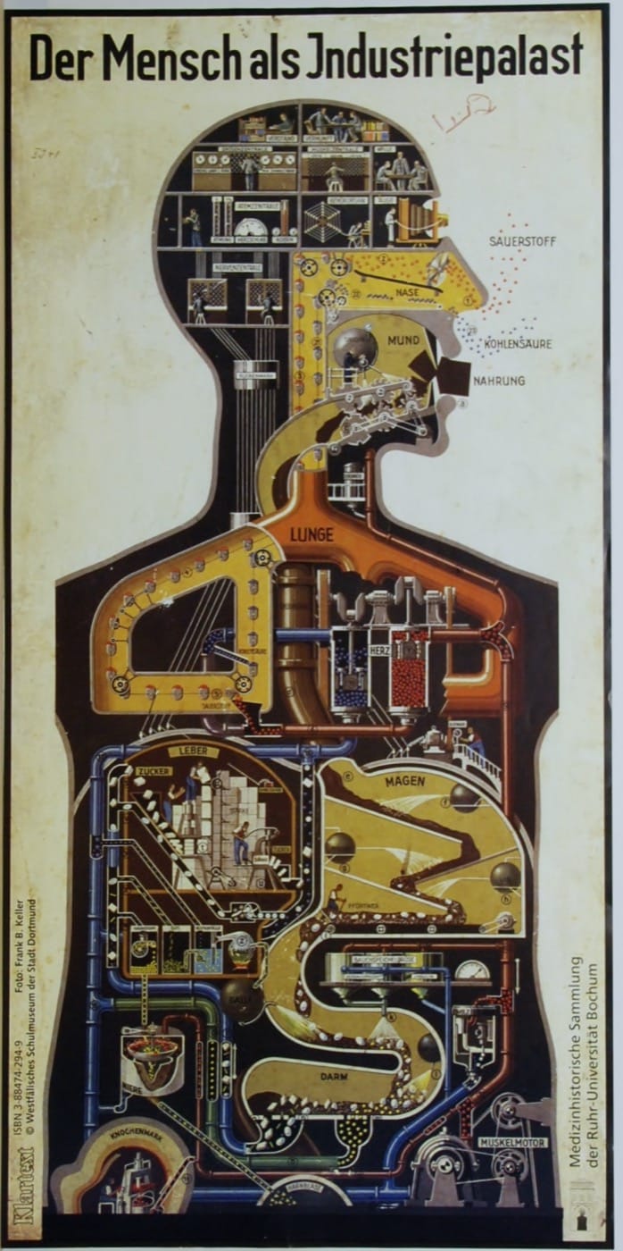 Der Mensch als Industriepalast - Reprint