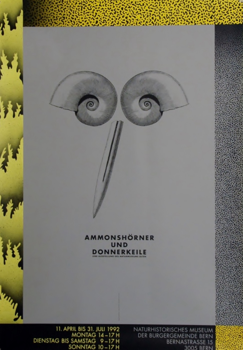 Ammonshörner und Donnerkeile